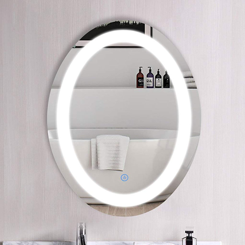 Orren Ellis Laniel Oval Lighted LED Bathroom / Vanity Mirror & Reviews